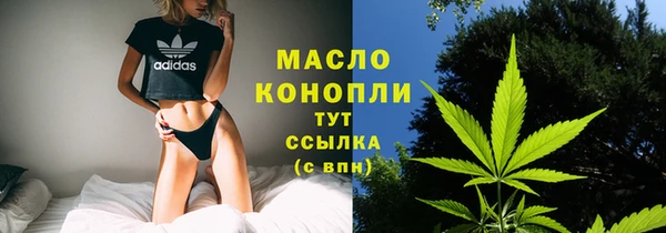 МДПВ Гусев
