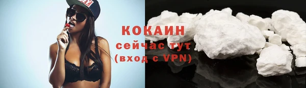 МДПВ Гусев