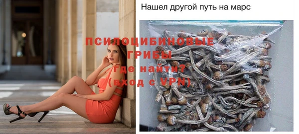 гидропоника Гусь-Хрустальный