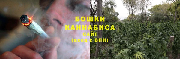 МДПВ Гусев