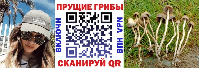 Галлюциногенные грибы GOLDEN TEACHER  Меленки 